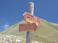 2019-07-06 P. Borghese e Porche 370